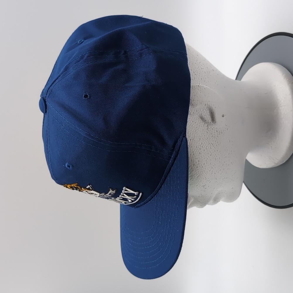 Starter| NWT Vintage University of Kentucky Wildcats Sports Cap Green Brim - Picture 7 of 16